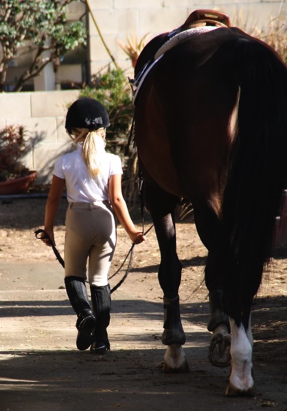 For Horses Italy Collections Equestrian Wear Shop Online, 45% OFF